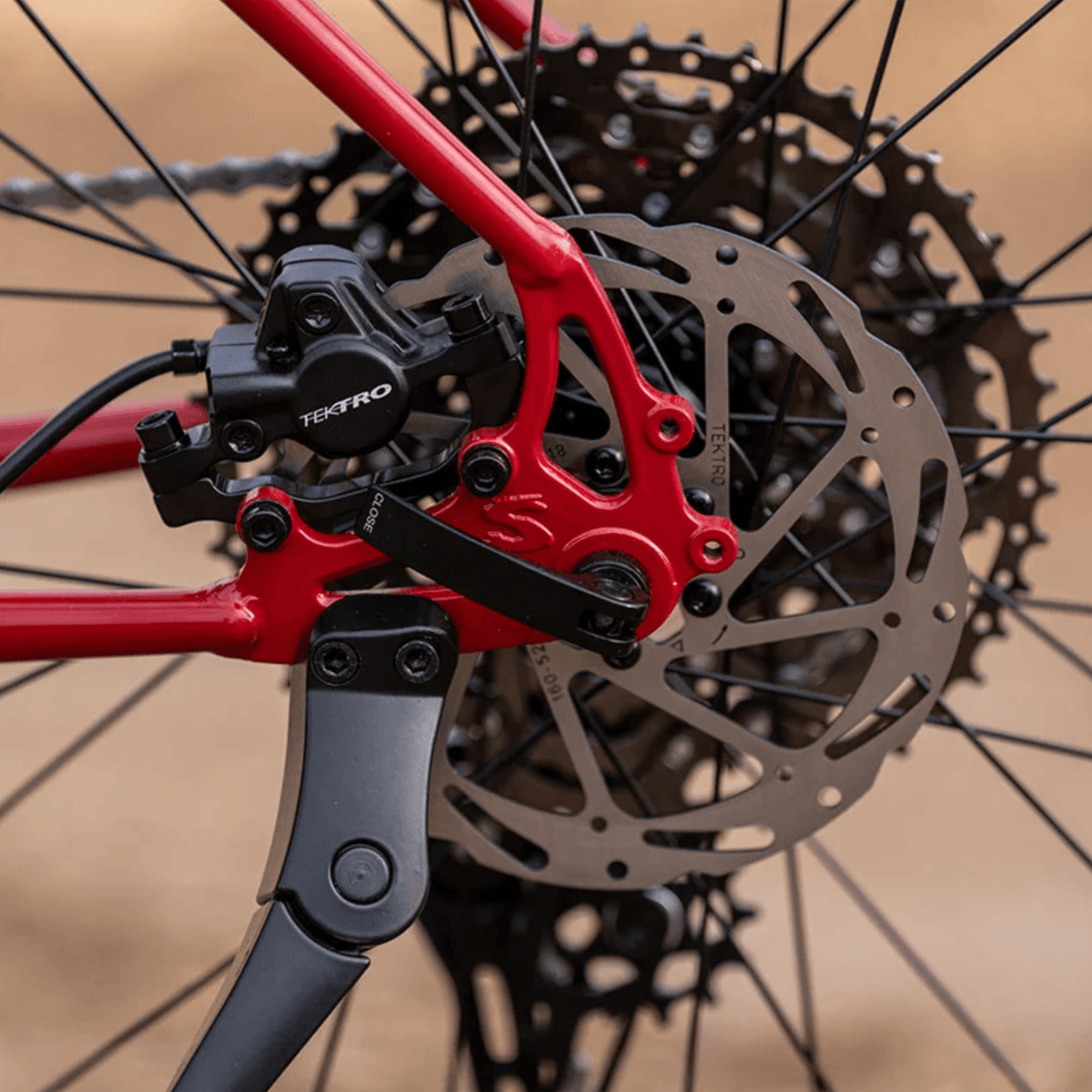 Bicicleta Bridge Club - Lingering Cranberry
