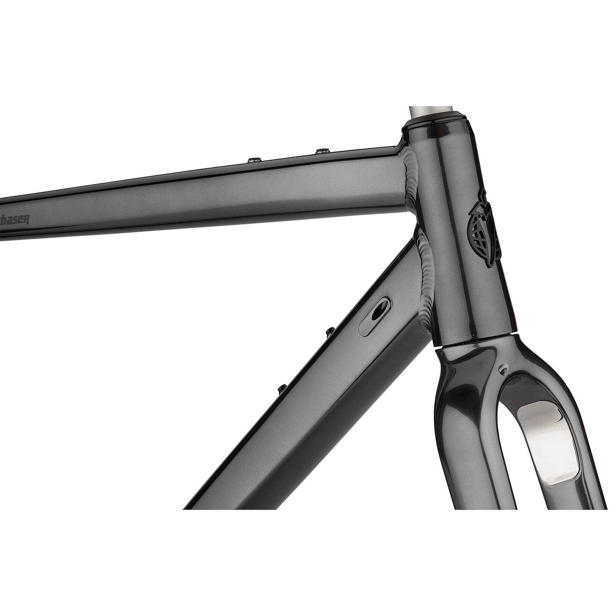 Cuadro Salsa Stormchaser