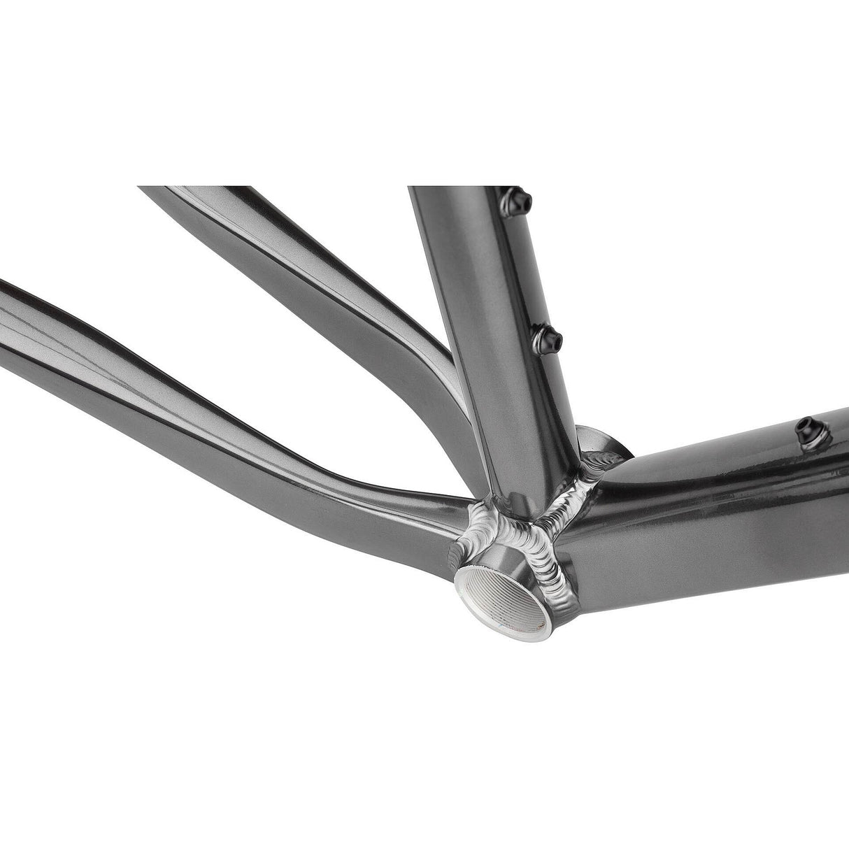 Cuadro Salsa Stormchaser