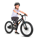 Bicicleta Infantil DMR Sidekick Ride Kinkerrad 20"
