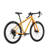 Bicicleta Salsa Fargo Apex 1