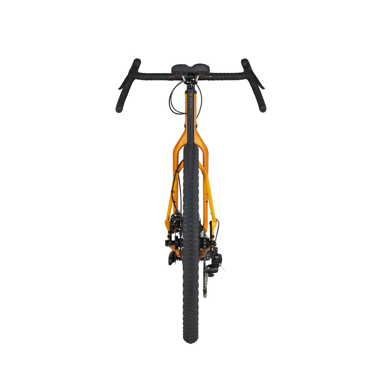 Bicicleta Salsa Fargo Apex 1