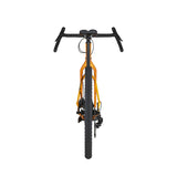 Bicicleta Salsa Fargo Apex 1