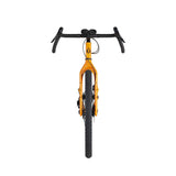 Bicicleta Salsa Fargo Apex 1