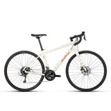 Bicicleta Salsa Journeyer 700c