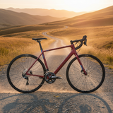 Bicicleta Salsa Warroad C Ultegra