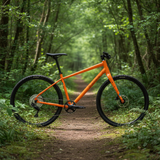 Bicicleta Salsa Journeyer Flat Bar Deore 650B