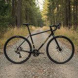 Bicicleta Salsa Vaya GRX 600