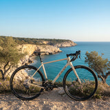 Bicicleta Salsa Warbird C GRX 820 2x