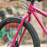 Bicicleta Surly Krampus - Rigid Prickly Pear