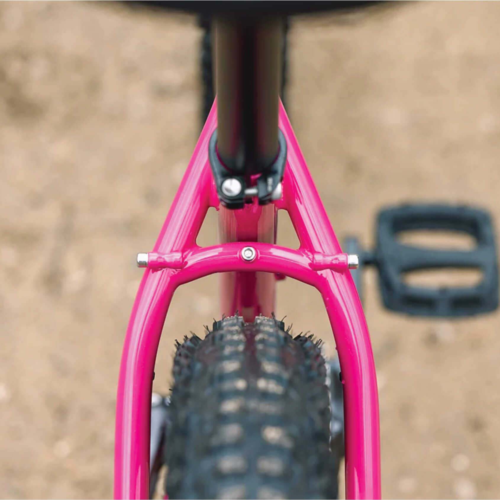 Bicicleta Surly Krampus - Rigid Prickly Pear