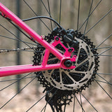 Bicicleta Surly Krampus - Rigid Prickly Pear