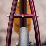Bicicleta Surly Midnight Special 700c Black Cherry Fizz