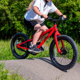 Bicileta Infantil DMR Sidekick Pedal, 18"/16"