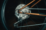 Cuadro Surly Sorceress - Hot Honey Bling