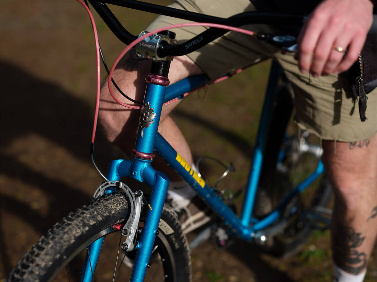 Cuadro Brother Pinecone