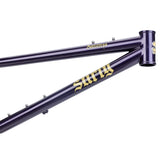 Cuadro Surly Sorceress 29"