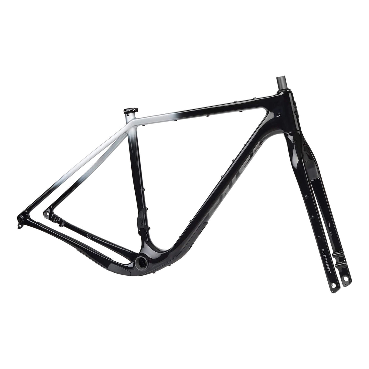 Cuadro Salsa Cutthroat C 2024
