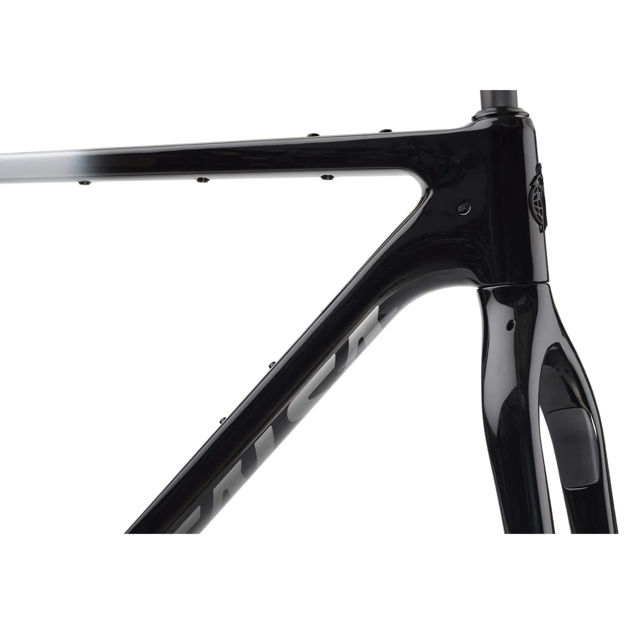 Cuadro Salsa Cutthroat C 2024
