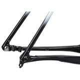 Cuadro Salsa Cutthroat C 2024