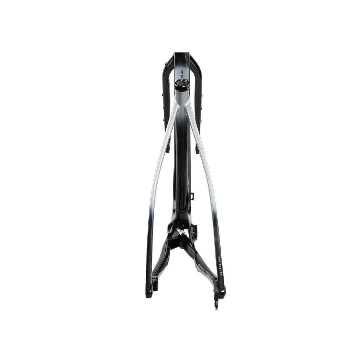 Cuadro Salsa Cutthroat C 2024