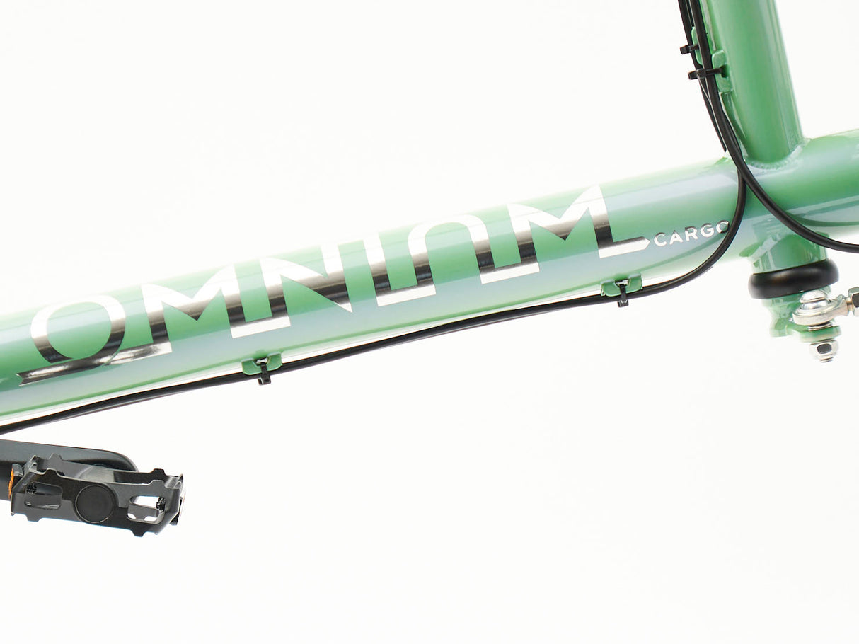 Cuadro Omnium Cargo V3