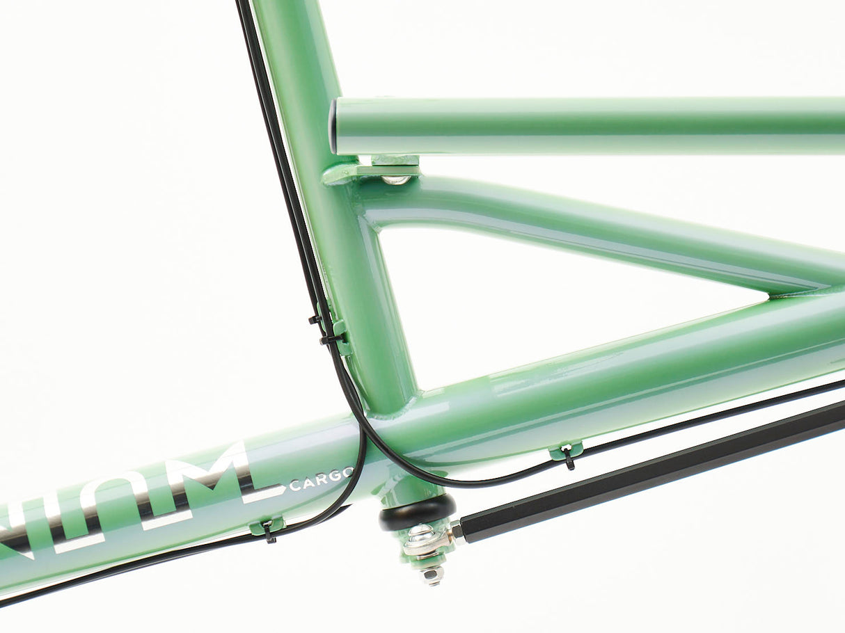 Cuadro Omnium Cargo V3