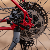 Bicicleta Bridge Club - Lingering Cranberry